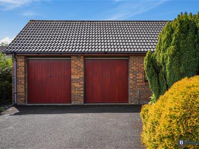 Picture 31